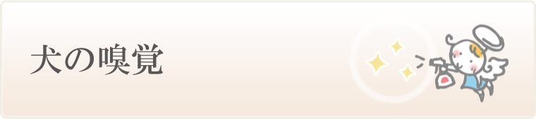 犬の嗅覚について
