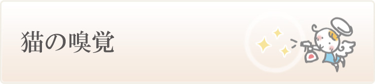 猫の嗅覚について