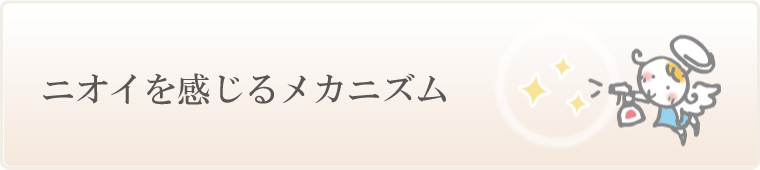 臭いを感じるメカニズム