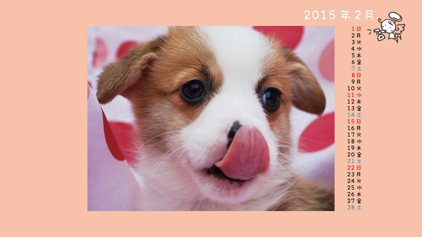 2015年2月の子犬カレンダー