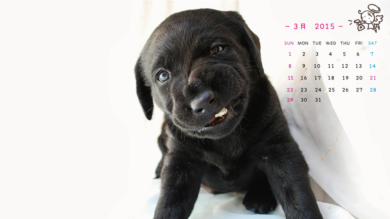 2015年3月の子犬カレンダー