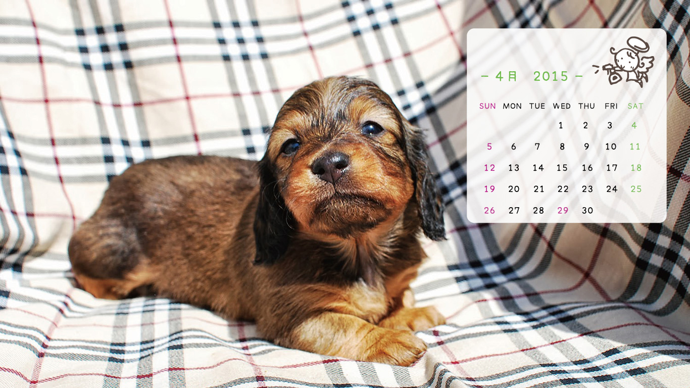 2015年4月の子犬カレンダー
