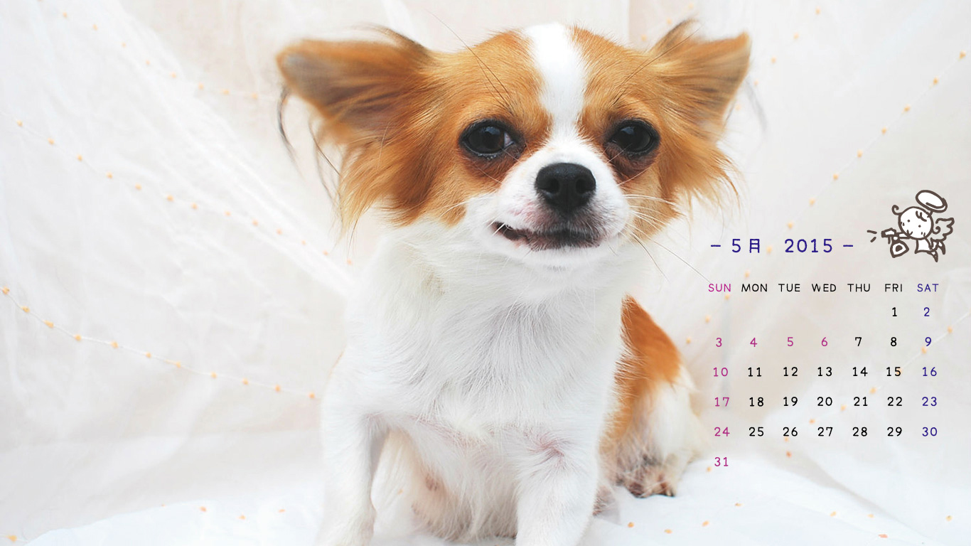 2015年5月の子犬カレンダー