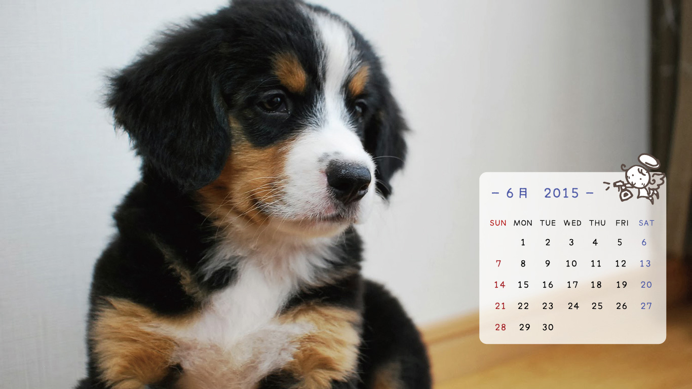 2015年6月の子犬カレンダー
