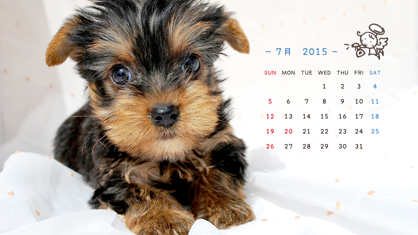 2015年7月の子犬カレンダー