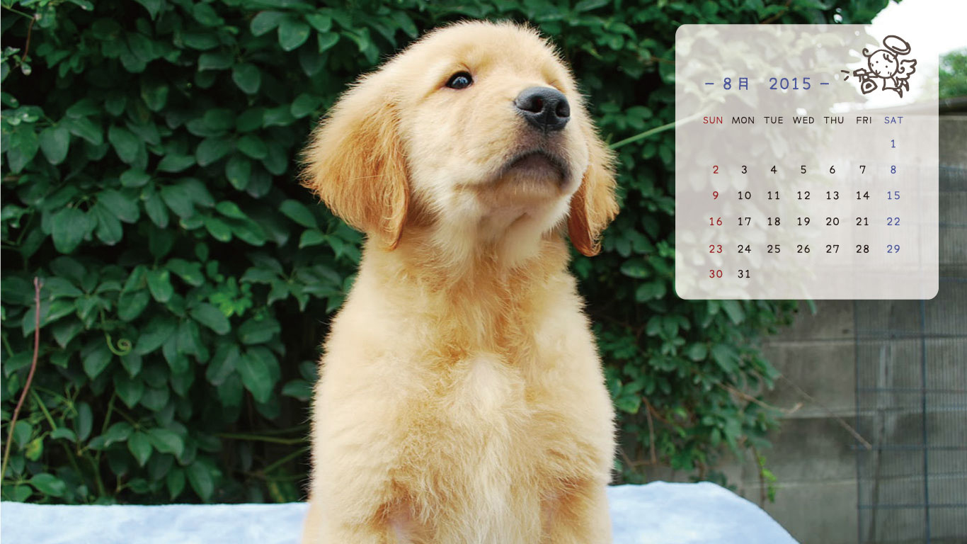 2015年8月の子犬カレンダー
