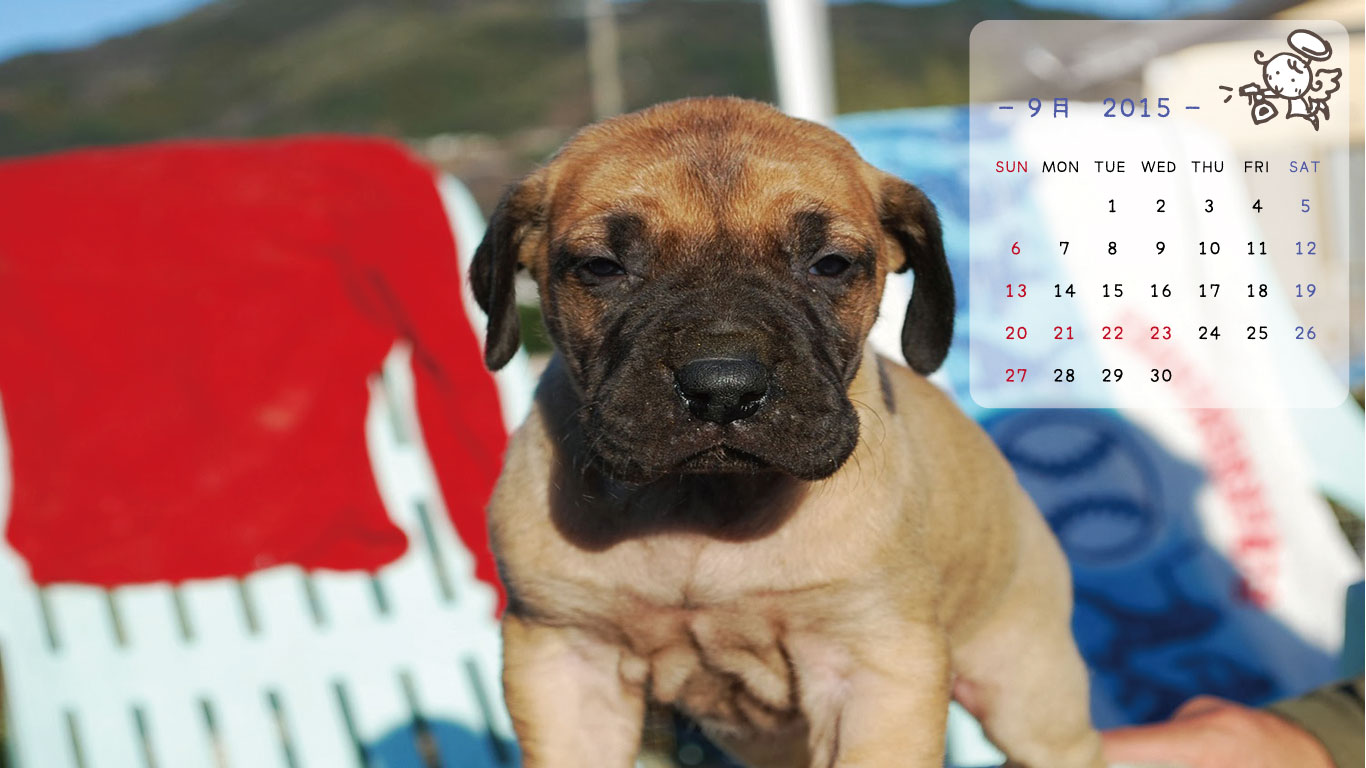2015年9月の子犬カレンダー