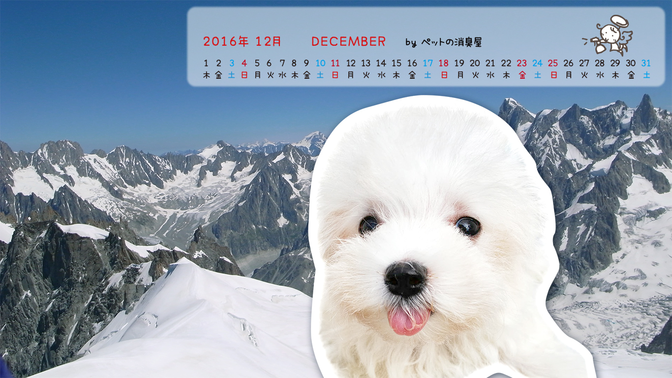2016年12月の子犬カレンダー