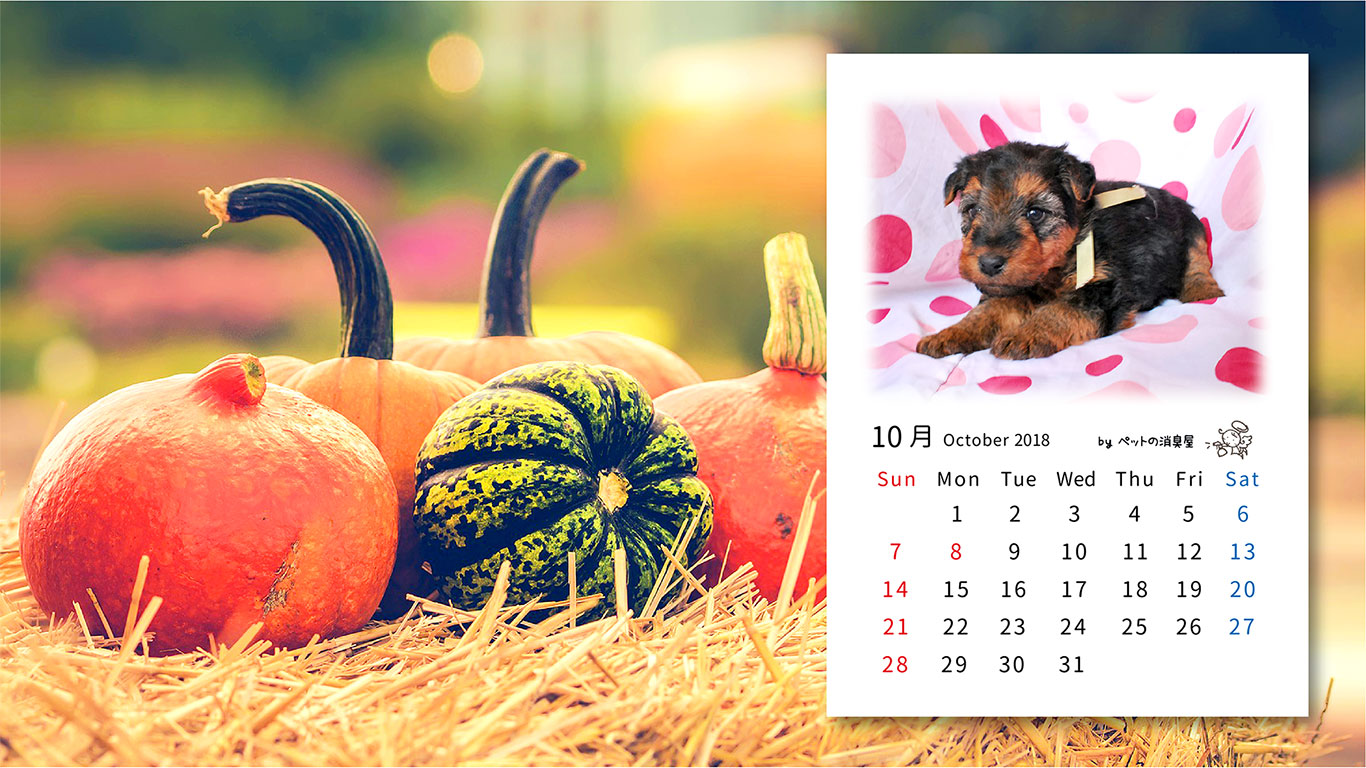2018年10月の子犬カレンダー