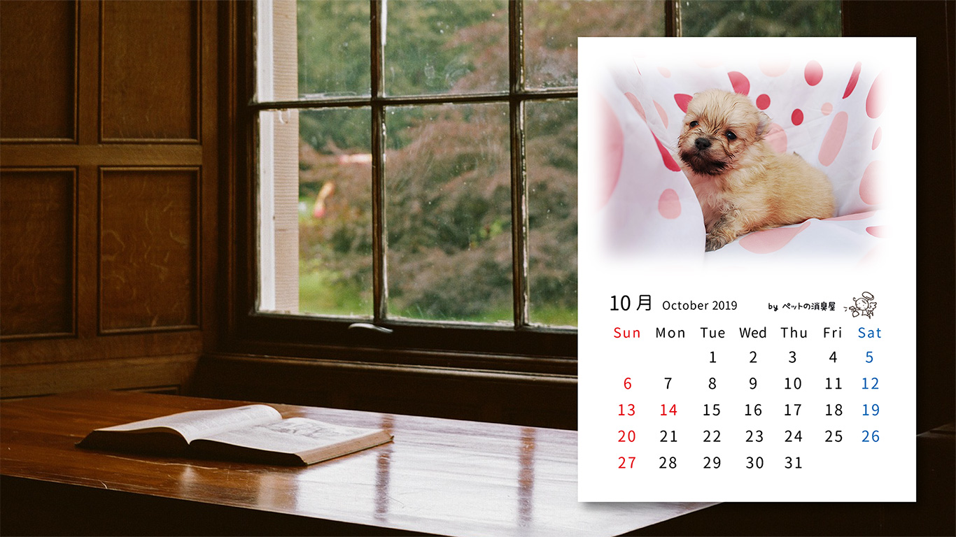 2019年10月の子犬カレンダー