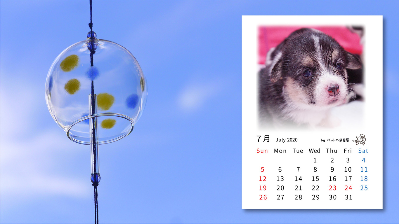 2020年7月の子犬カレンダー