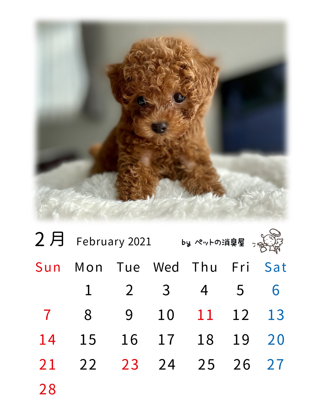 フリー 無料 子犬の壁紙カレンダー 21年 ペット大学 ｂｙペットの消臭屋
