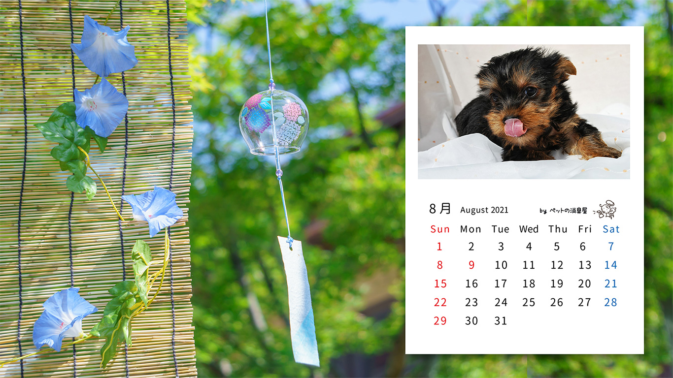 2021年8月の子犬カレンダー