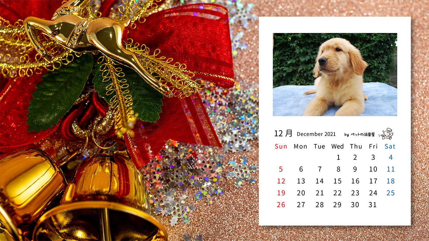 2021年12月の子犬カレンダー