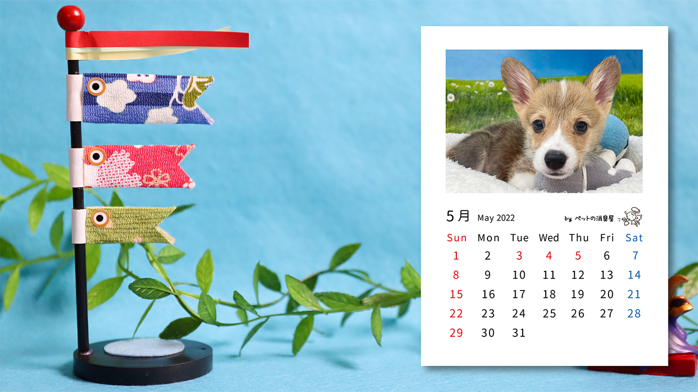 2022年5月の子犬カレンダー