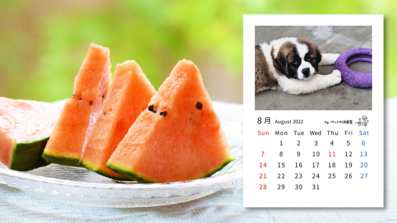 2022年8月の子犬カレンダー