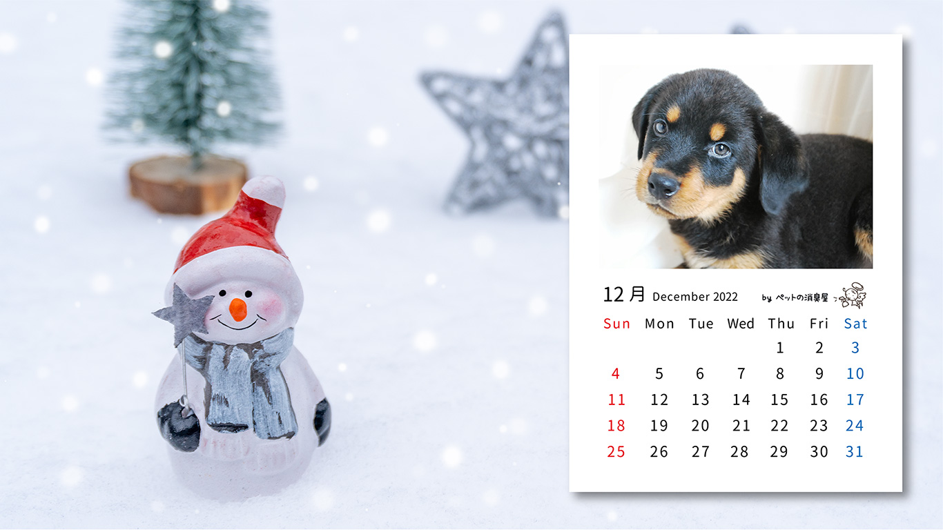 12月の子犬：「ロットワイラー」2022年12月のフリーカレンダー