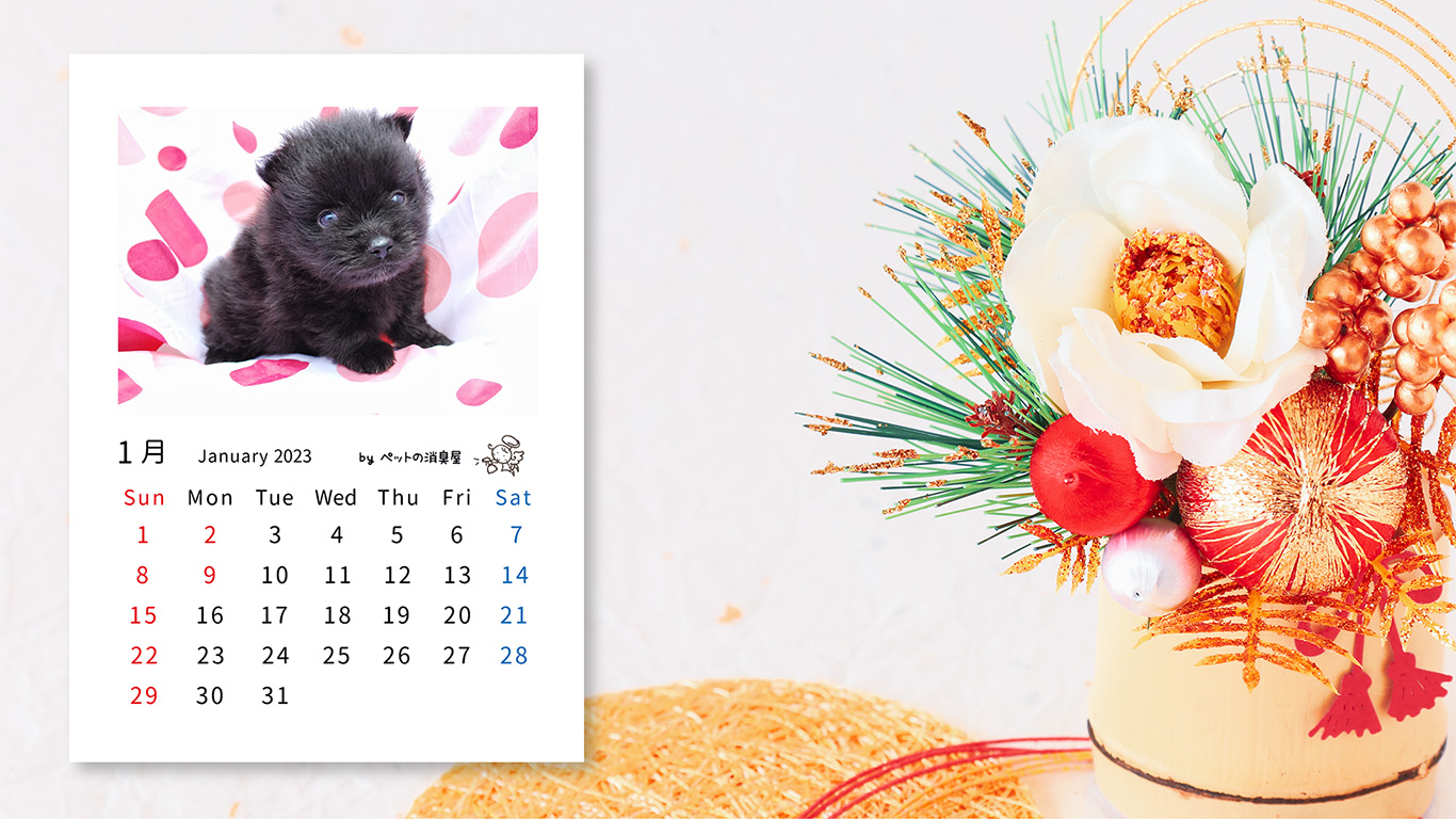 2023年1月の子犬カレンダー