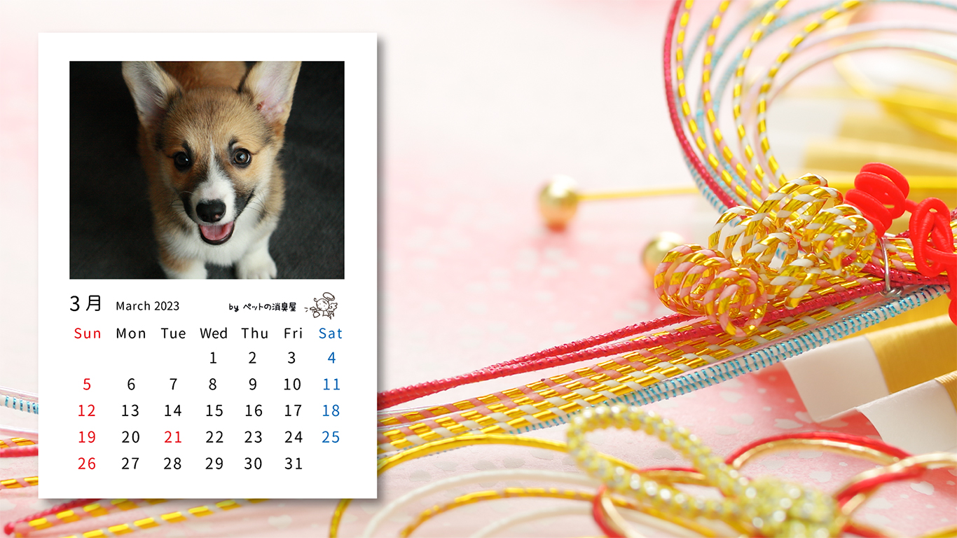 2023年3月の子犬カレンダー