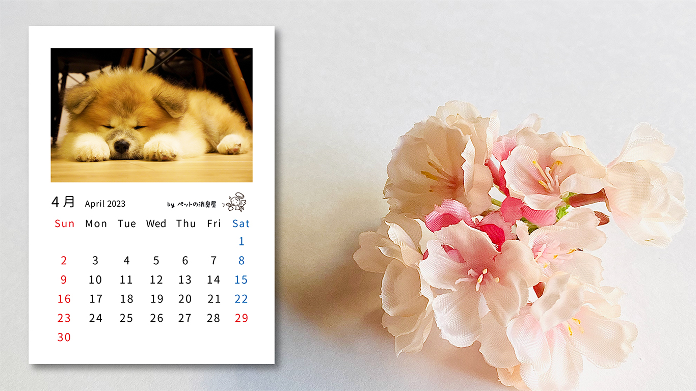 2023年4月の子犬カレンダー