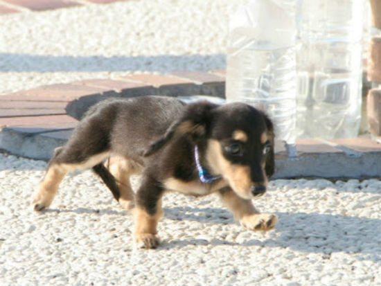 �_�b�N�X�@�q���t���[�摜