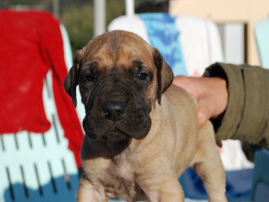 �O���[�g�f�[���@�q���t���[�摜