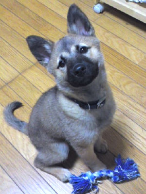 �G�팢�@���g�����