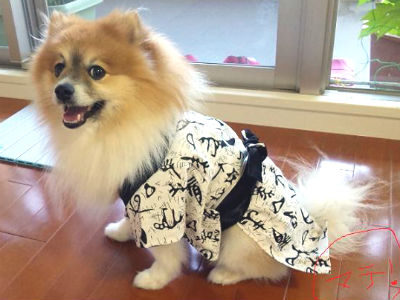 FRIENDSHIP CLUB�@No.008�@MIX���̌Ց��Y�����