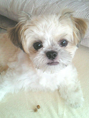 �~�b�N�X���@�A�������