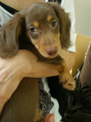 �~�j�`���A�_�b�N�X  �ʐ^