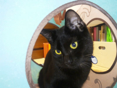 �a�LM�~�b�N�X�@�ʐ^