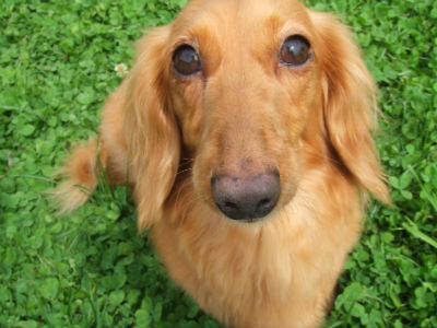 �~�j�`���A�_�b�N�X�t���h�@��