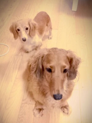 �_�b�N�X�@�ʐ^