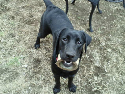 �����u�̎ʐ^