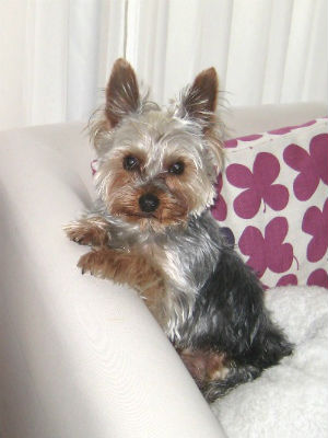 ���[�N�V���e���A�@���̎ʐ^