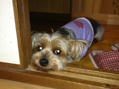 ���[�N�V���e���A�@���̎ʐ^