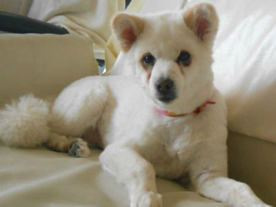 �ی쌢�䂫�����̎ʐ^