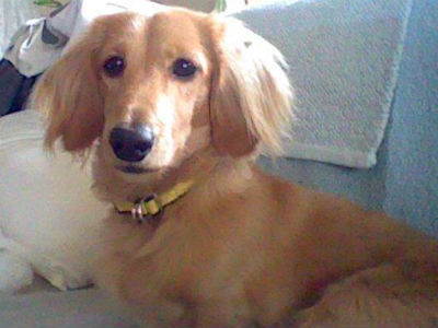 �_�b�N�X�ՔV��N�̎ʐ^