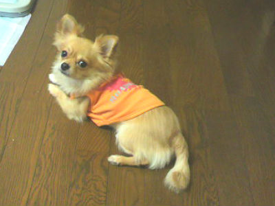 �����̎ʐ^