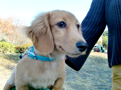 FRIENDSHIP CLUB�@No.001�@�`�����̃R�R