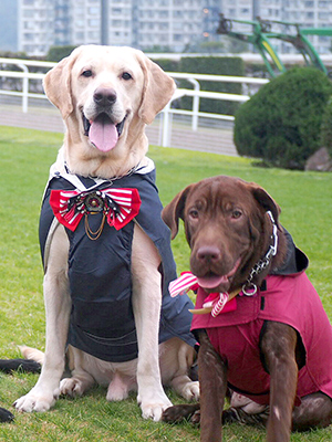 �g�C�v�[�h���@���̎ʐ^