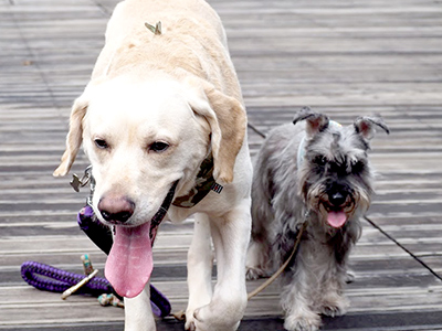 �`���R�����(��)&�W���C�W���C�����(�E)