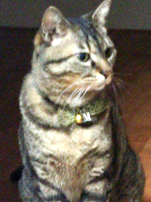 ���������