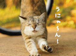 �L���m�r�m�r