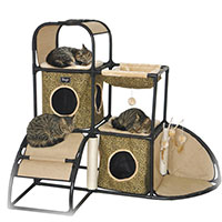 �L���b�g�^���[�̎ʐ^