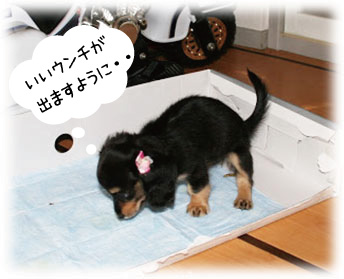 ���̕a�C�@���񂿂̏��