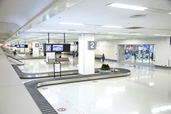 �����ƎԂł��o����