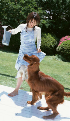 �A�C���b�V���Z�b�^�[