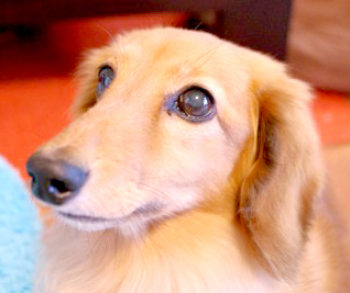 ���̎���