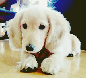 �}�e�̂���